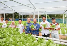 Sekdako Fahmi Ikuti Panen Sayuran Hidroponik Binaan Karang Taruna Kota Dumai