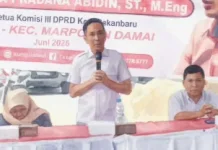 DPRD Pekanbaru Soroti Kebijakan Pemindahan Pohon di Jalan Protokol