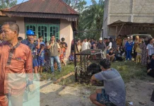 BBKSDA Riau Evakuasi Beruang Madu dari Permukiman Warga di Kerumutan