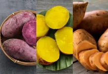 Manfaat Ubi Jalar bagi Kesehatan