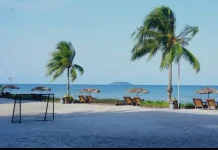 Pulau Pangkil Keindahan Alami, Budaya Melayu, dan Liburan Tenang di Teluk Bintan