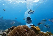 Menjelajahi Keindahan Bawah Laut Sambil Belajar Menjaga Ekosistem