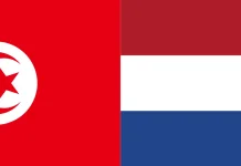 Mengenal Lebih Dekat Grup F Piala Dunia 2026: Tunisia vs Belanda