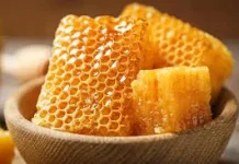 Fakta Unik tentang Madu: Keajaiban Alam dalam Setiap Tetesnya