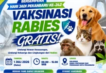 Pemko Pekanbaru Gelar Vaksin Rabies Gratis, Target 200 Hewan Terlayani