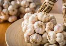 Mengenal Bawang Putih, Rempah Dapur yang Kaya Manfaat bagi Kesehatan
