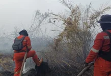 Manggala Agni Tambah Personel, Operasi Pemadaman Karhutla di Rengat