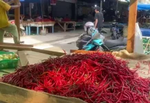 Harga Cabai dan Tomat Naik di Pekanbaru, Pedagang Sebut Kenaikan Bertahap