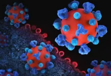Penanganan HIV di Pekanbaru, Fokus Pengendalian dan Pendampingan