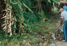 Pemko Pekanbaru Tegaskan Sampah Tak Boleh Dibuang ke Pinggir Jalan