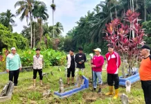 Mahasiswa KKN UNISI Bantu Pendataan Tanah Wakaf