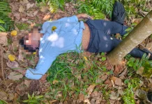 Dokter Residen RSUD Tengku Rafian Siak Ditemukan Meninggal di Semak Belukar