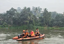 Pria Diduga Terjatuh ke Sungai Kampar, Tim SAR Lakukan Pencarian
