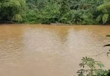 Sejumlah Sungai di Riau Tercemar: Ancam Kesehatan Warga dan Kerusakan Lingkungan