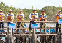 Hari Mangrove Sedunia 2026, Pemerintah Tanam Sejuta Bibit Mangrove