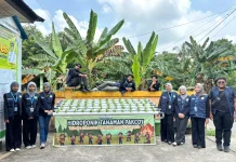 Kukerta UNRI Rantau Mapesai Kembangkan Hidroponik