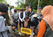 Pelajar Jepang Ikut Restorasi Tahura SSH, Tanam Pohon Dukung Konservasi Hutan Riau