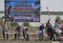Mangrove Rusak, Polda Riau Bergerak Selamatkan Pesisir Sinaboi