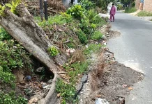 Camat Bukit Raya Tindaklanjuti Keluhan Jalan Rusak Sei Mintan