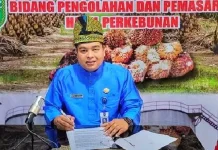 Harga TBS Kelapa Sawit Swadaya di Riau Hampir Rp 4.000 per kg