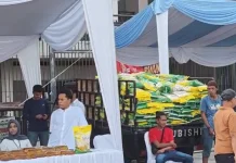 Bulog Kanwil Riau-Kepri Sediakan Beras SPHP dan Minyakita di Pasar Murah