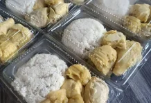 Ketan Durian Gurih, Nikmat Tradisional Sulit Dilupakan Selamanya