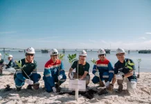 Perkokoh Benteng Pesisir Dumai, PHR Tanam 700 Mangrove Tangani Krisis Iklim