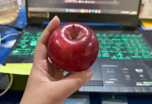 Manfaat Makan Satu Buah Apel Harian