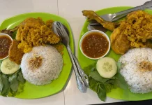 Kelezatan Ayam Kremes yang Disukai Banyak Orang