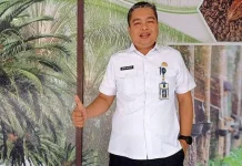 Menjelang HUT RI, Harga TBS di Riau Alami Penurunan