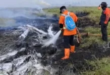 Tiga Karhutla Riau Masih Belum Padam