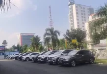 Udara Pekanbaru Kabur, Bukan Kabut Asap Karhutla