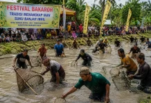 Bakaroh Tradisi Menangkap Ikan Suku Banjar Inhil Menjaga Kebersamaan