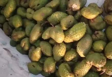 Jus Sirsak Segar, Nikmat Alami Menggoyang Lidah