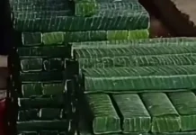 Tips Membuat Tempe Daun