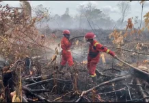 KLH/BPLH Keluarkan SE Larang Buka Lahan dengan Membakar, Antisipasi Karhutla 2026