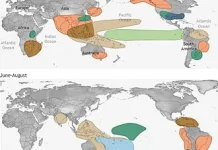 El Nino Kuat Mengintai Siak, BPBD Waspadai Lonjakan Karhutla Agustus 2026