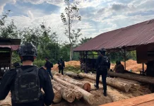 Polda Riau Tangkap Pemodal Kayu Ilegal, Aliran Dana Dibidik untuk TPPU