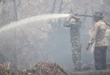 Kapolda Riau dan Pangdam Padamkan Api Karhutla di Kerumutan Pelalawan
