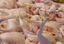DPRD Pekanbaru Minta Pemerintah Cari Solusi Harga Ayam Naik