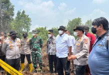 Menteri LH dan Kapolda Riau Tinjau Karhutla di Kampar