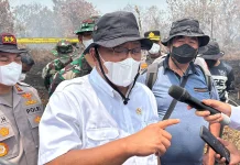 Menteri LH Ungkap 335 Konsesi Terindikasi Karhutla, Luas Terbakar 85 Ribu Hektare