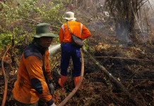 Karhutla Kerumutan Meluas, Ratusan Personel Dikerahkan untuk Jinakkan Api