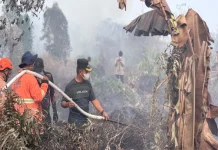 Bupati Kampar Imbau Warga Jangan Bakar Lahan