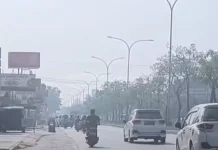 Kabut Asap Kembali Menyelimuti Bumi Lancang Kuning Riau
