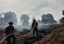 Pemprov Riau Perkuat Dukungan untuk Petugas Karhutla
