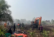 Kedatangan Presiden Prabowo, Petugas Buka Akses di Lokasi Karhutla Rimbo Panjang