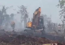 Pemprov Riau Perkuat Satgas Karhutla Hadapi Ancaman Kebakaran Lahan Menyebar