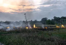 Dampak Buruk Asap Kebakaran Hutan dan Lahan