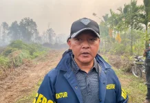 Polda Riau Tetapkan 35 Tersangka Pembakar Hutan dan Lahan